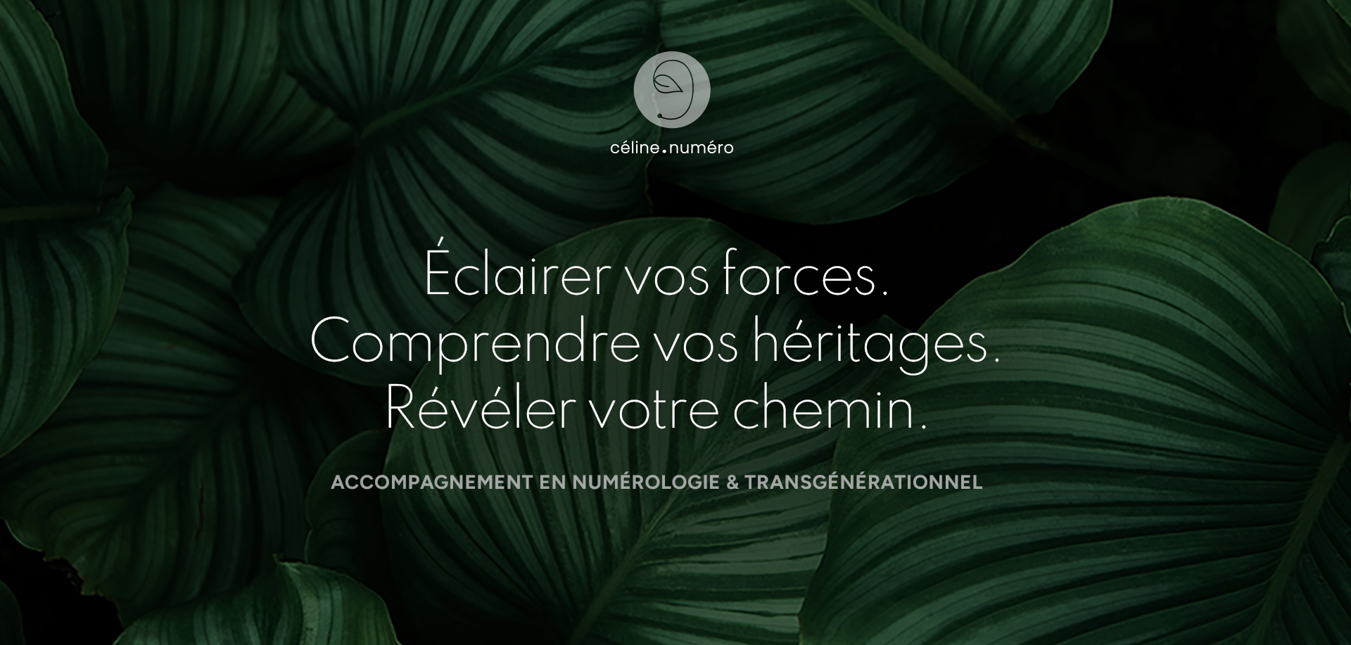 Éclairer vos forces. Comprendre vos héritages. Révéler votre chemin.